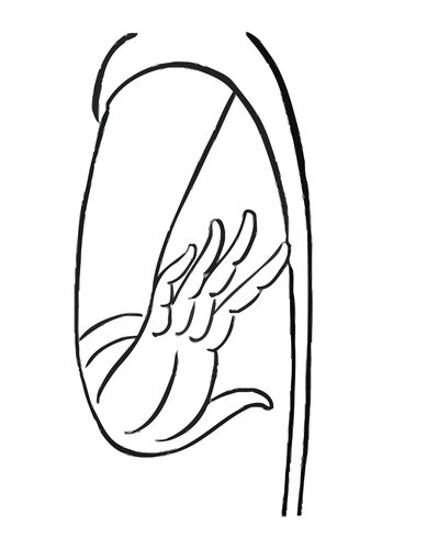 0b75e802.jpg