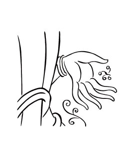 2f1c6655