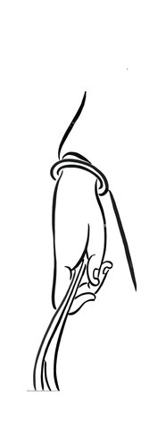 3c749f8d.jpg
