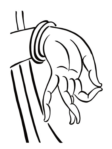 50c6c443.jpg