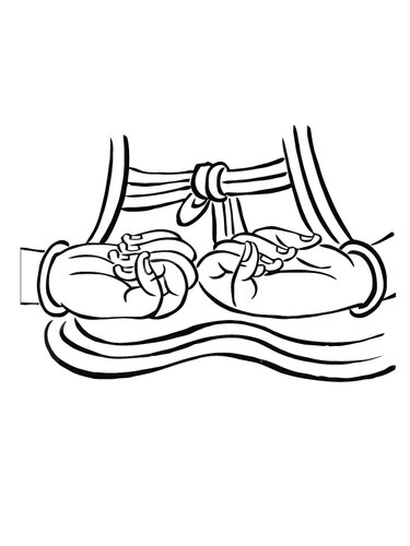 8a3081d4.jpg